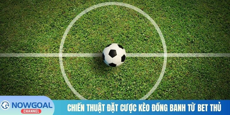 Chiến thuật đặt cược kèo đồng banh từ bet thủ