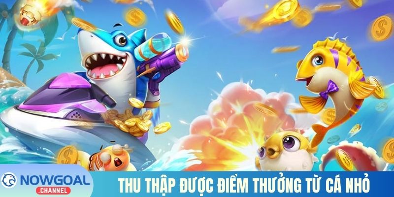 Chơi ria giúp bạn thu thập được điểm thưởng hấp dẫn từ các chú cá nhỏ