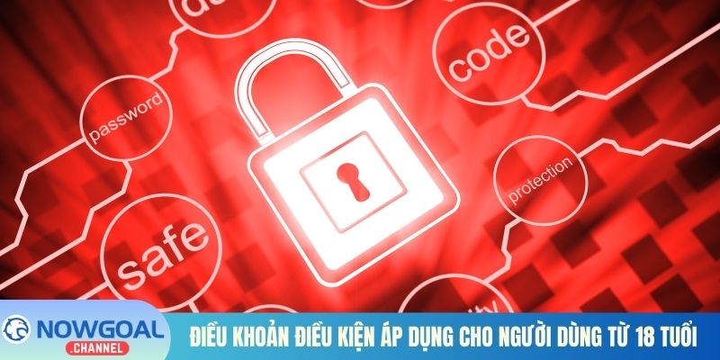 Điều khoản điều kiện áp dụng cho người dùng từ 18 tuổi