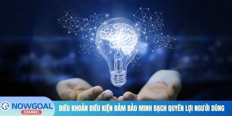 Điều khoản điều kiện đảm bảo minh bạch quyền lợi người dùng
