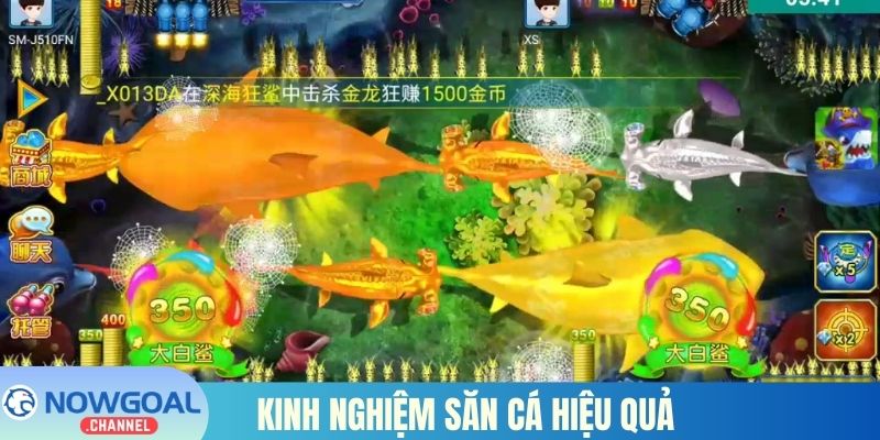 Kinh nghiệm săn cá hiệu quả để thắng lớn