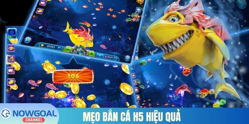 Mẹo bắn cá H5 hiệu quả dành cho người mới bắt đầu