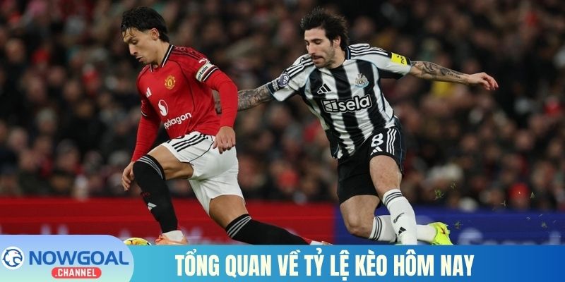 Tổng quan về tỷ lệ kèo hôm nay